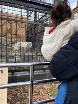 東武動物公園に投稿された画像（2022/11/28）