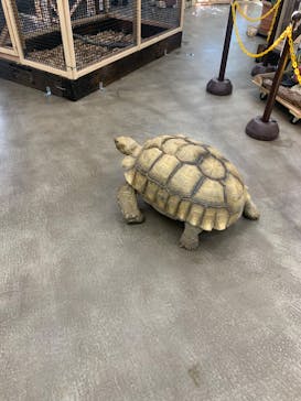 しろとり動物園に投稿された画像（2022/11/28）