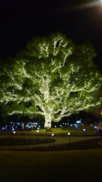 安城産業文化公園デンパークに投稿された画像（2022/11/28）