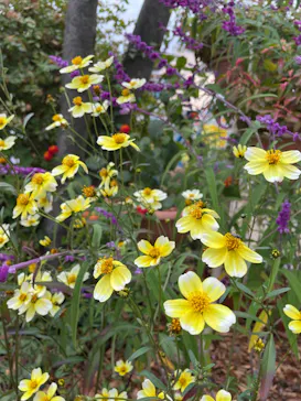 ひらかたパークに投稿された画像（2022/11/28）