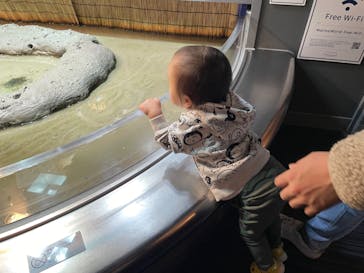 マリンワールド海の中道に投稿された画像（2022/11/28）