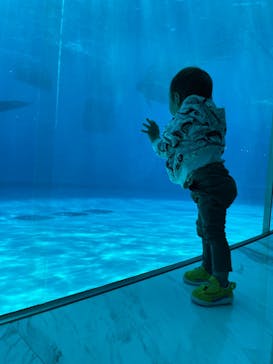 マリンワールド海の中道に投稿された画像（2022/11/28）