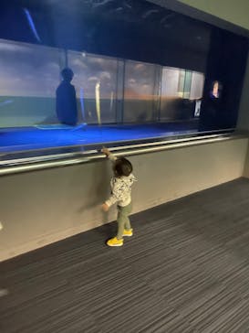 マリンワールド海の中道に投稿された画像（2022/11/28）