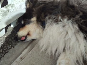 那須どうぶつ王国に投稿された画像（2022/11/28）