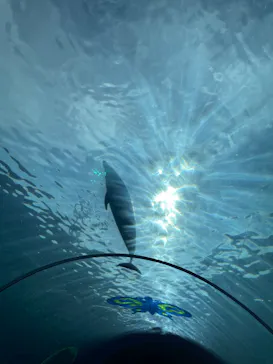 横浜・八景島シーパラダイスに投稿された画像（2022/11/28）