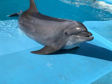 南知多ビーチランド＆南知多おもちゃ王国に投稿された画像（2022/11/28）