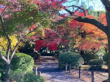 名古屋城に投稿された画像（2022/11/28）