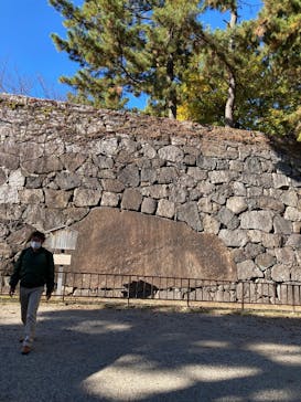 名古屋城に投稿された画像（2022/11/28）