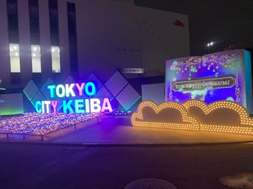 東京メガイルミに投稿された画像（2022/11/28）