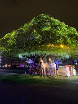 東京メガイルミに投稿された画像（2022/11/28）