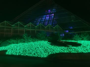 大阪府立花の文化園に投稿された画像（2022/11/28）