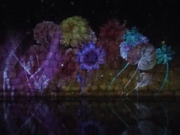NAKED FLOWERS 2022 秋 世界遺産・二条城に投稿された画像（2022/11/28）