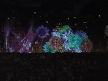 NAKED FLOWERS 2022 秋 世界遺産・二条城に投稿された画像（2022/11/28）