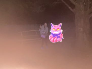 レオマリゾートに投稿された画像（2022/11/28）