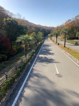 NESTA RESORT KOBE（ネスタリゾート神戸）に投稿された画像（2022/11/28）