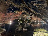 国営昭和記念公園 秋の夜散歩に投稿された画像（2022/11/28）