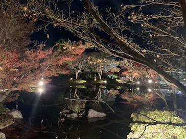 国営昭和記念公園 秋の夜散歩に投稿された画像（2022/11/28）