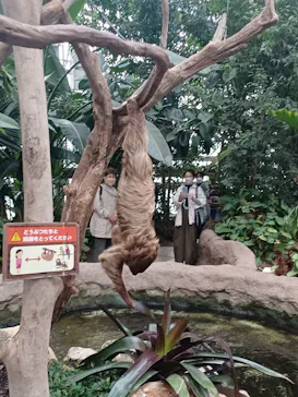 神戸どうぶつ王国に投稿された画像（2022/11/28）