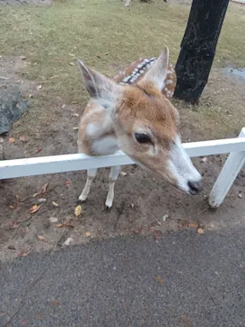 神戸どうぶつ王国に投稿された画像（2022/11/28）