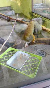 ひらかたパークに投稿された画像（2022/11/28）