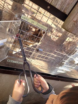 群馬サファリパークに投稿された画像（2022/11/28）