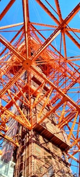 東京タワーに投稿された画像（2022/11/28）