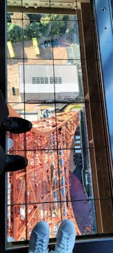 東京タワーに投稿された画像（2022/11/28）