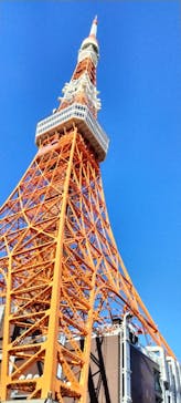 東京タワーに投稿された画像（2022/11/28）