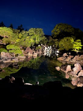 NAKED FLOWERS 2022 秋 世界遺産・二条城に投稿された画像（2022/11/28）