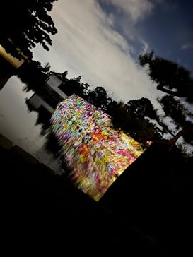 NAKED FLOWERS 2022 秋 世界遺産・二条城に投稿された画像（2022/11/28）