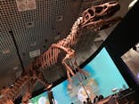 国立科学博物館に投稿された画像（2022/11/29）