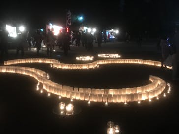 国営昭和記念公園 秋の夜散歩に投稿された画像（2022/11/28）