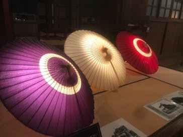 国営昭和記念公園 秋の夜散歩に投稿された画像（2022/11/28）