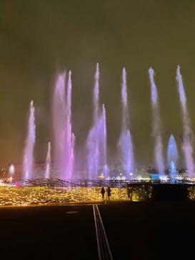 東京メガイルミに投稿された画像（2022/11/28）