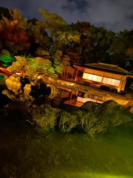 NAKED FLOWERS 2022 秋 世界遺産・二条城に投稿された画像（2022/11/28）