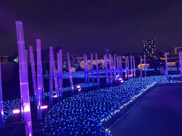 東京メガイルミに投稿された画像（2022/11/28）