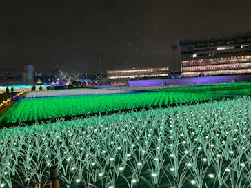 東京メガイルミに投稿された画像（2022/11/28）