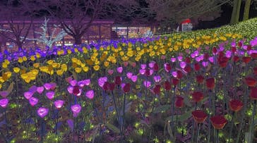 さがみ湖MORI MORIに投稿された画像（2022/3/22）