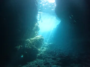 武藤潜水に投稿された画像（2022/11/29）