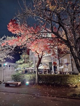 江戸東京たてもの園に投稿された画像（2022/11/29）
