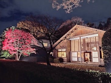 江戸東京たてもの園に投稿された画像（2022/11/29）