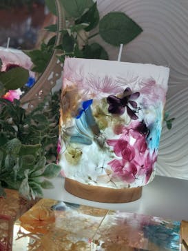 ずこうしつ〜sugamo〜に投稿された画像（2022/11/29）