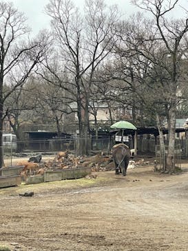 那須サファリパークに投稿された画像（2022/11/29）