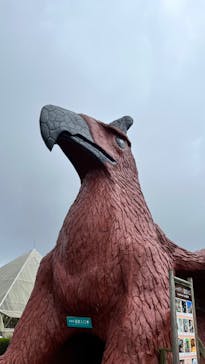 伊豆シャボテン動物公園に投稿された画像（2022/11/29）