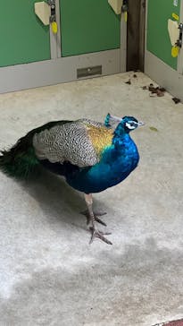 伊豆シャボテン動物公園に投稿された画像（2022/11/29）