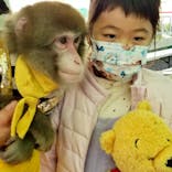 おさるランド＆アニタウン　日光さる軍団劇場に投稿された画像（2022/11/29）