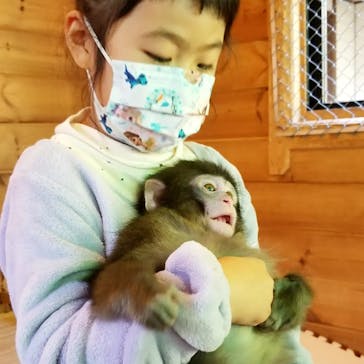 おさるランド＆アニタウン　日光さる軍団劇場に投稿された画像（2022/11/29）