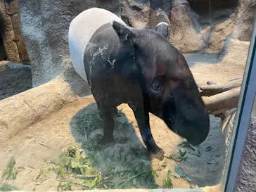 神戸どうぶつ王国に投稿された画像（2022/11/29）