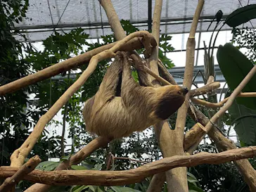 神戸どうぶつ王国に投稿された画像（2022/11/29）