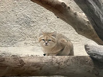 神戸どうぶつ王国に投稿された画像（2022/11/29）